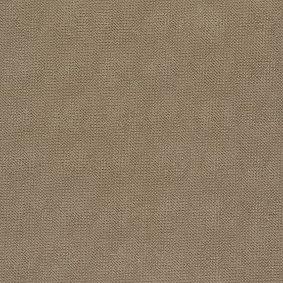 Photo of the fabric Macho Birch swatch by Zepel. Use for Curtains, Upholstery, Accessory, Top of Bed. Style of Plain, Texture