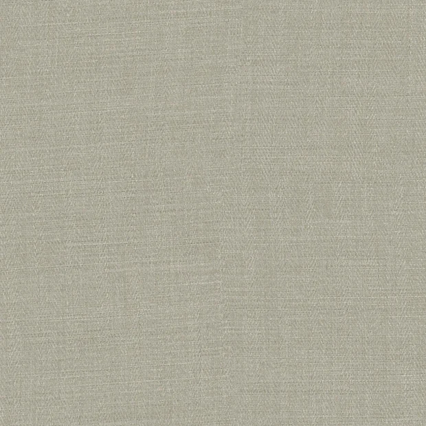 Photo of the fabric Aditya Feather swatch by FR-One. Use for Curtains, Accessory. Style of Dim Out, Traditional