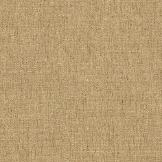 Photo of the fabric Fibra Wp 7695 7695 4384 swatch by Casamance. Use for Wall Covering. Style of Plain, Uncoated Non-Woven