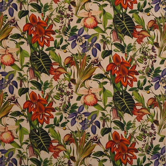Photo of the fabric Twining Botanical swatch by James Dunlop. Use for Curtains, Upholstery, Accessory. Style of Print
