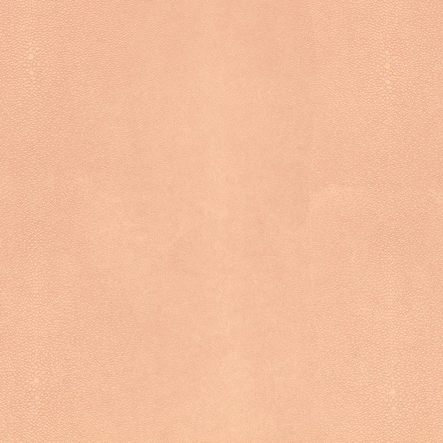 Photo of the fabric Shagreen K5357 07 swatch by Kirkby Design. Use for Upholstery. Style of Leather And Vinyl, Plain