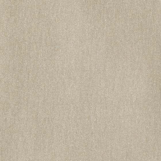 Photo of the fabric Fata Morgana 14374 403 swatch by Fischbacher 1819. Use for Curtains. Style of Plain