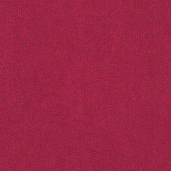 Photo of the fabric Dallas Raspberry swatch by Zepel. Use for Upholstery. Style of Leather And Vinyl, Plain