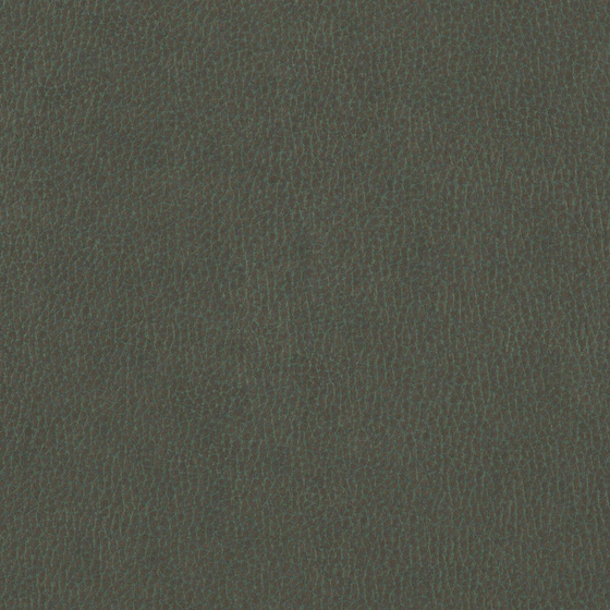 Photo of the fabric Dallas Bronze swatch by Zepel. Use for Upholstery. Style of Leather And Vinyl, Plain