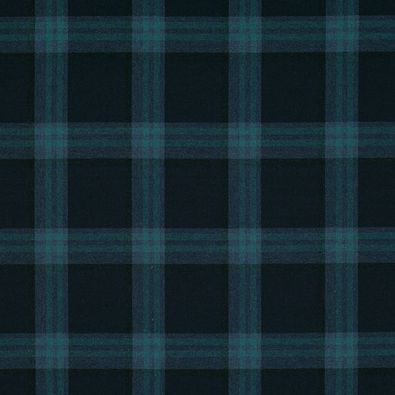 Photo of the fabric Beam FR K5229 09 swatch by Kirkby Design. Use for Curtains, Upholstery, Accessory, Top of Bed. Style of Checks