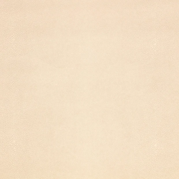 Photo of the fabric Shagreen K5357 01 swatch by Kirkby Design. Use for Upholstery. Style of Leather And Vinyl, Plain
