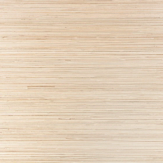 Photo of the fabric Reed Wp Mw149 01 swatch by Mark Alexander. Use for Wall Covering. Style of Paper, Plain
