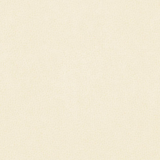 Photo of the fabric Dallas Champagne swatch by Zepel. Use for Upholstery. Style of Leather And Vinyl, Plain