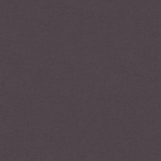 Photo of the fabric Kite Caviar swatch by Zepel. Use for Sheer Curtains. Style of Plain, Sheer