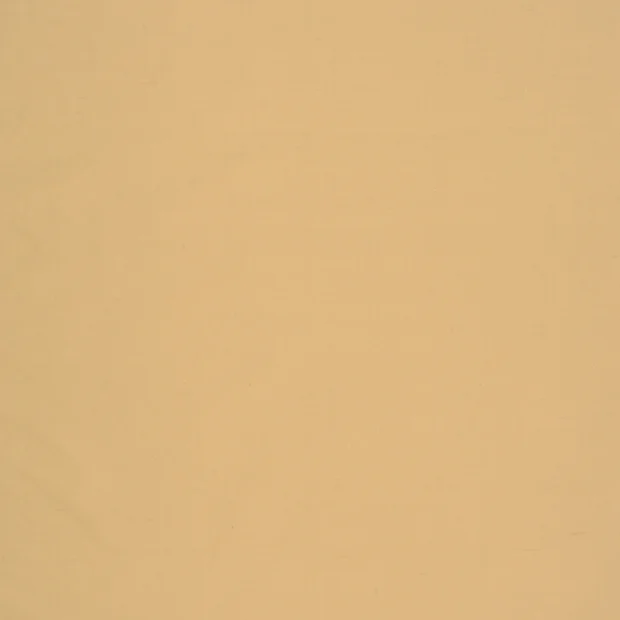 Photo of the fabric Jamila II 14500 113 swatch by Fischbacher 1819. Use for Curtains, Accessory. Style of Plain
