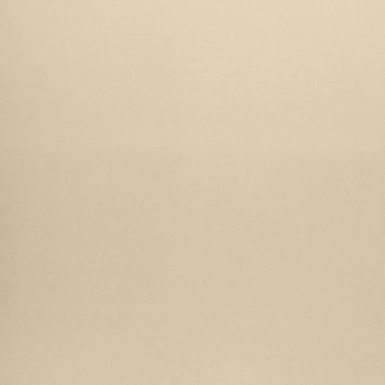 Photo of the fabric Sateen 137 Reed swatch by Zepel. Use for Curtains, Upholstery, Accessory, Top of Bed. Style of Plain, Taffeta