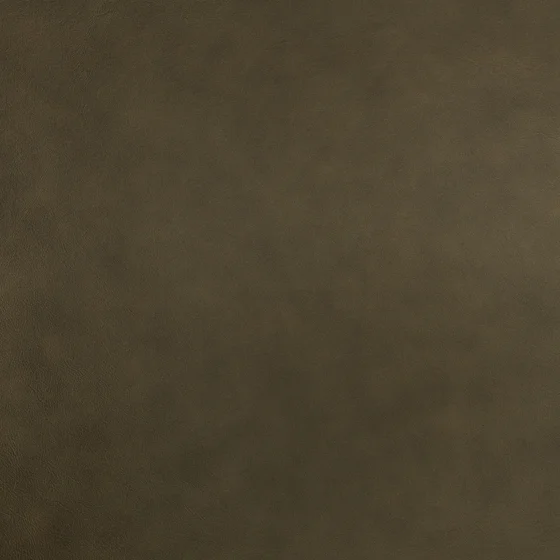 Photo of the fabric Axel Hide Zl103 02 swatch by Zinc. Use for Upholstery, Accessory. Style of Leather And Vinyl, Plain