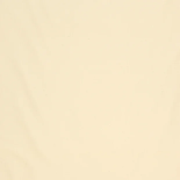 Photo of the fabric Jamila II 14500 107 swatch by Fischbacher 1819. Use for Curtains, Accessory. Style of Plain