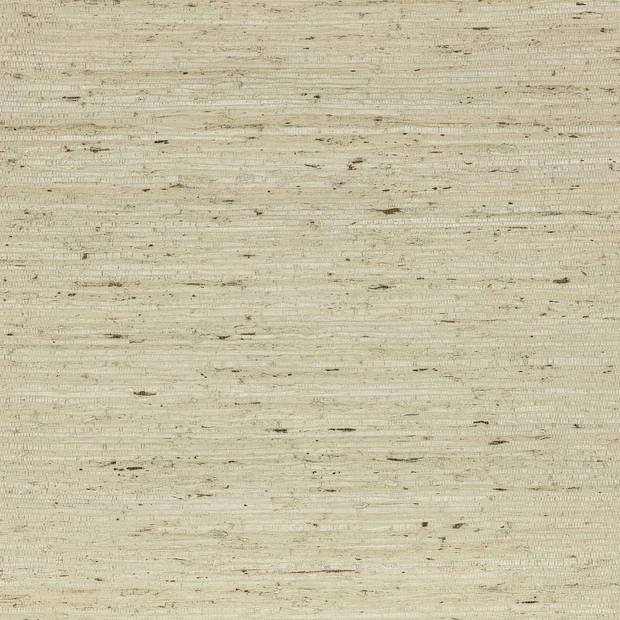 Photo of the fabric Arrowroot Wp Mw148 02 swatch by Mark Alexander. Use for Wall Covering. Style of Paper, Plain