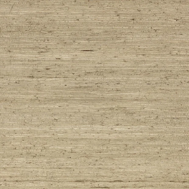 Photo of the fabric Arrowroot Wp Mw148 04 swatch by Mark Alexander. Use for Wall Covering. Style of Paper, Plain