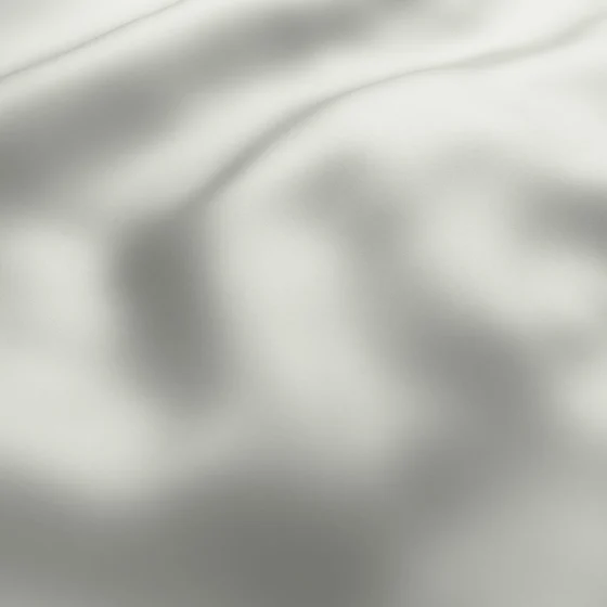 Photo of the fabric North Face Silver swatch by Zepel. Use for Curtains, Upholstery, Accessory. Style of Plain, Taffeta