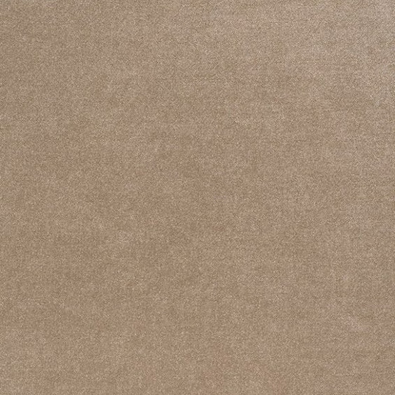 Photo of the fabric Opus Chinchilla swatch by Zepel. Use for Curtains, Upholstery, Accessory, Top of Bed. Style of Plain, Velvet