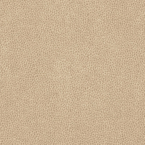 Photo of the fabric Dallas Macaroon swatch by Zepel. Use for Upholstery. Style of Leather And Vinyl, Plain