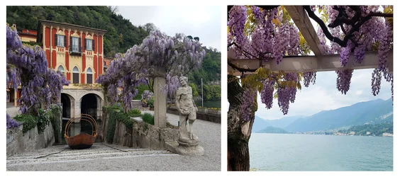 Villa d'Este, Cernobbio