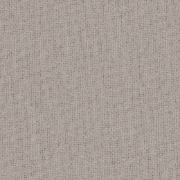 Photo of the fabric Gossy Griffin swatch by FR-One. Use for Sheer Curtains. Style of Plain, Sheer