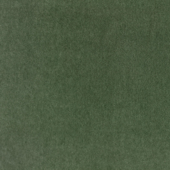 Photo of the fabric Plush M205 43 swatch by Mark Alexander. Use for Upholstery, Accessory. Style of Plain