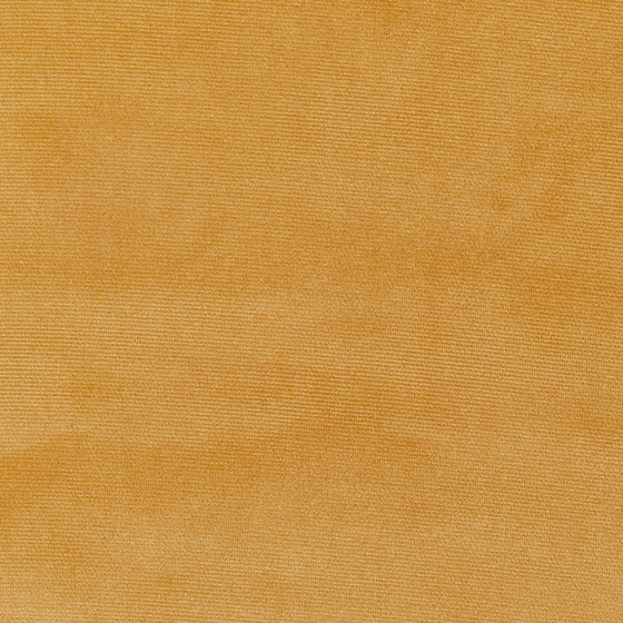 Photo of the fabric Velour Eco 7150 502 swatch by Prestigious. Use for Curtains, Upholstery, Accessory. Style of Plain, Velvet
