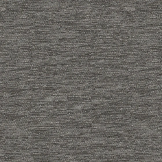 Photo of the fabric Maharaja II Charcoal swatch by James Dunlop Essentials. Use for Curtains, Upholstery Light Duty, Accessory, Top of Bed. Style of Plain, Texture