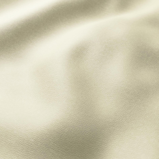 Photo of the fabric Bonanza Eucalyptus swatch by Zepel. Use for Upholstery. Style of Leather And Vinyl, Plain