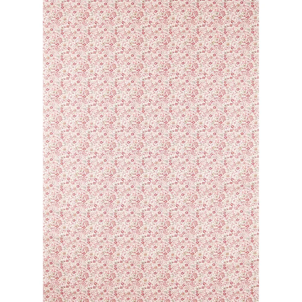 Photo of the fabric Gamthi F1811 1 swatch by Clarke & Clarke. Use for Curtains, Accessory, Top of Bed. Style of Floral And Botannical, Print