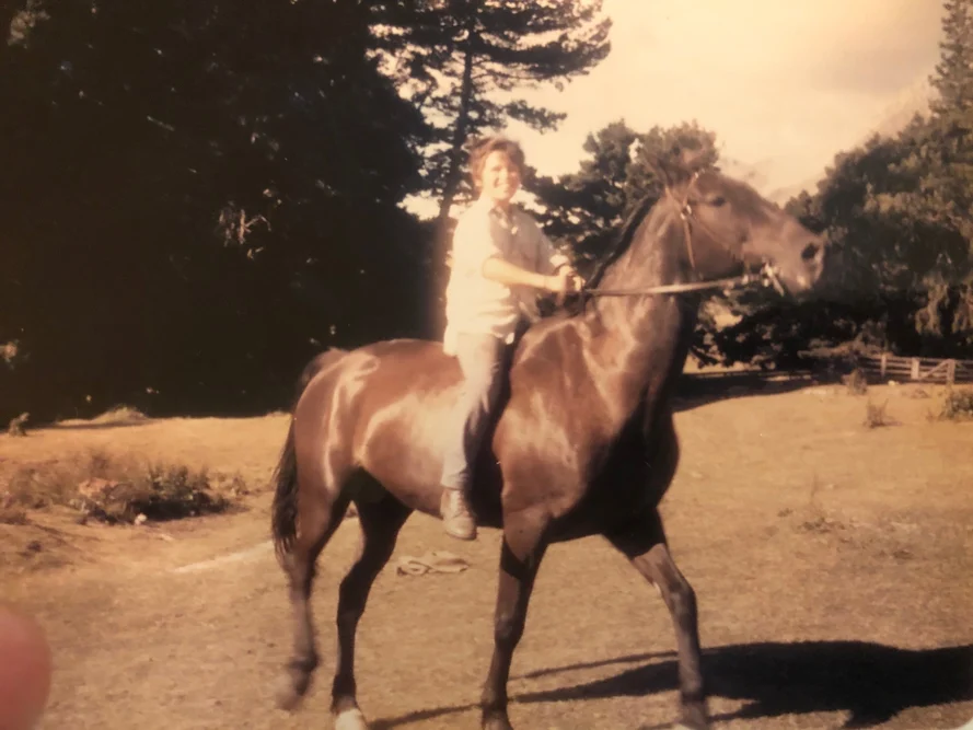 Riding horse, Ben age 12
