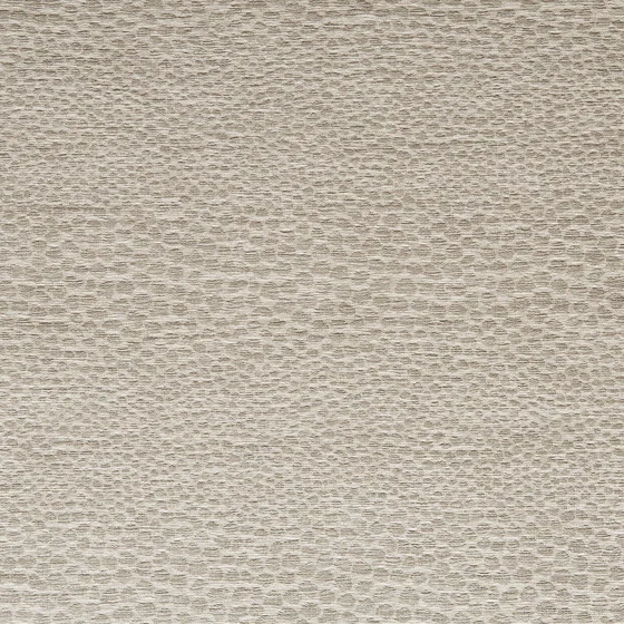 Photo of the fabric Castus F1788 5 swatch by Clarke & Clarke. Use for Curtains, Upholstery, Accessory, Top of Bed. Style of Geometric, Taffeta