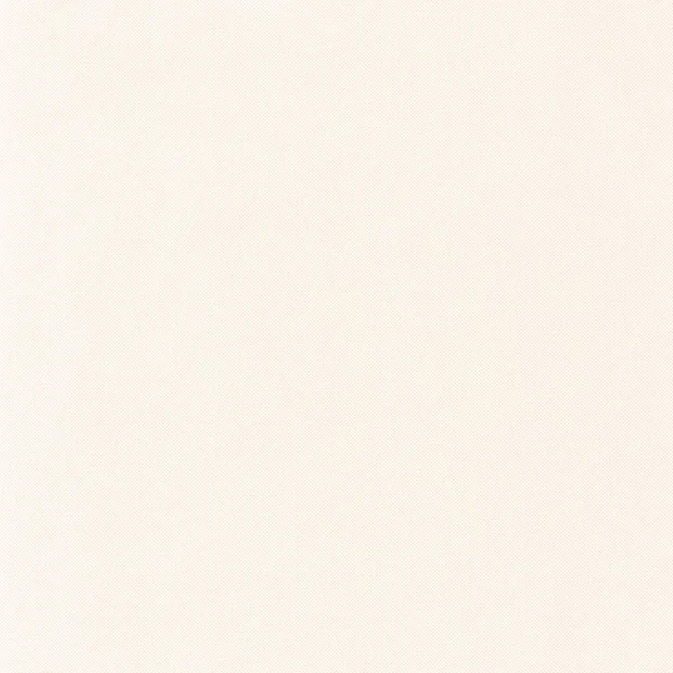 Photo of the fabric Natte Mat Wallpaper 10156 10156 12 10 swatch by Casadeco. Use for Wall Covering. Style of Plain