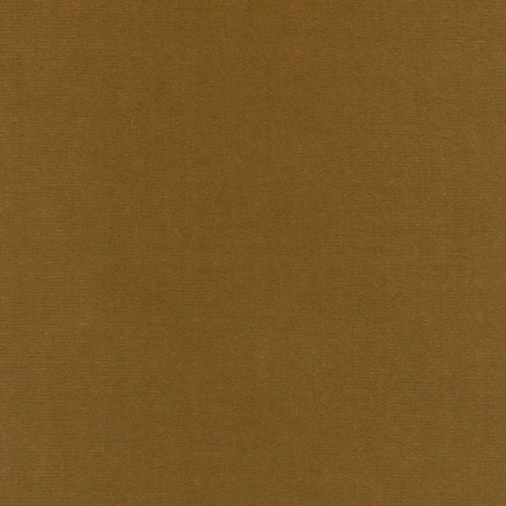 Photo of the fabric Almo Bis YP20005 swatch by Designs Of The Time. Use for Curtains, Upholstery, Accessory. Style of Plain, Velvet