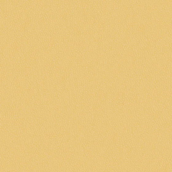 Photo of the fabric Integra Honey swatch by Zepel. Use for Upholstery, Accessory, Top of Bed. Style of Leather And Vinyl, Plain