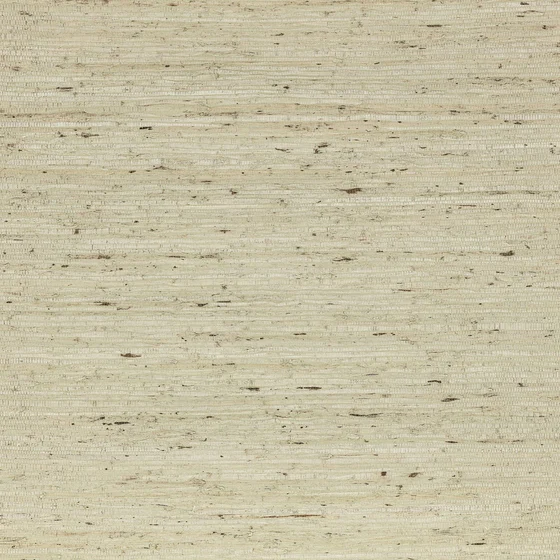 Photo of the fabric Arrowroot Wp Mw148 02 swatch by Mark Alexander. Use for Wall Covering. Style of Paper, Plain