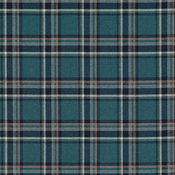 Photo of the fabric Gamma FR K5223 04 swatch by Kirkby Design. Use for Curtains, Upholstery, Accessory. Style of Checks