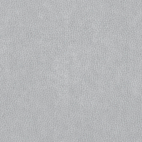Photo of the fabric Dallas Silver swatch by Zepel. Use for Upholstery. Style of Leather And Vinyl, Plain
