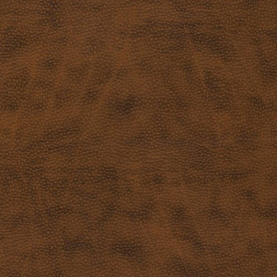Photo of the fabric Affinity Sierra swatch by Zepel. Use for Upholstery. Style of Leather And Vinyl, Plain
