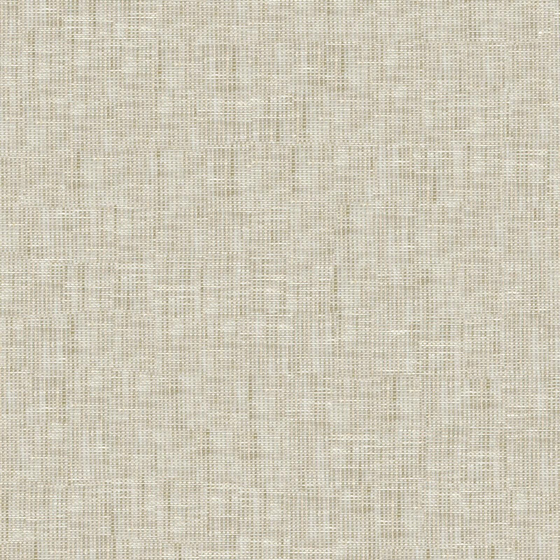Photo of the fabric Lumiere Bamboo swatch by James Dunlop. Use for Sheer Curtains. Style of Plain, Sheer