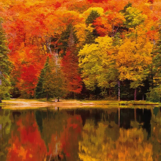 Photo of the fabric Autumn Panel 8710 8710 38 13 swatch by Casadeco. Use for Wall Covering, Wall Panel/Mural. Style of Abstract