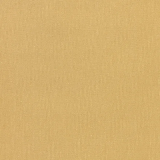 Photo of the fabric Start Z638 08 swatch by Zinc. Use for Upholstery, Accessory. Style of Plain