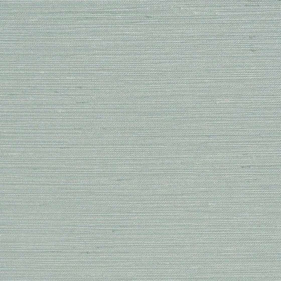 Photo of the fabric Maharaja Aqua swatch by James Dunlop Essentials. Use for Curtains, Accessory, Top of Bed. Style of Plain