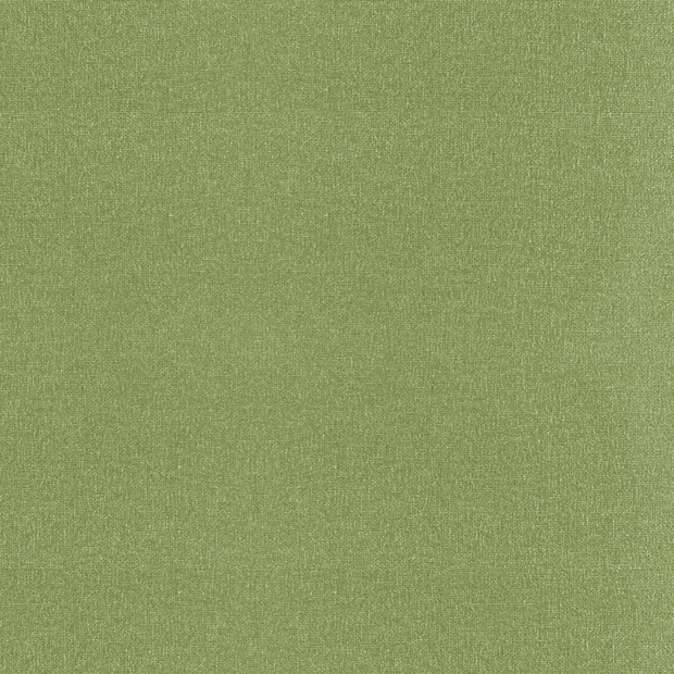 Photo of the fabric Taffy Cactus swatch by James Dunlop Essentials. Use for Curtains, Upholstery Light Duty, Accessory, Top of Bed. Style of Plain, Taffeta
