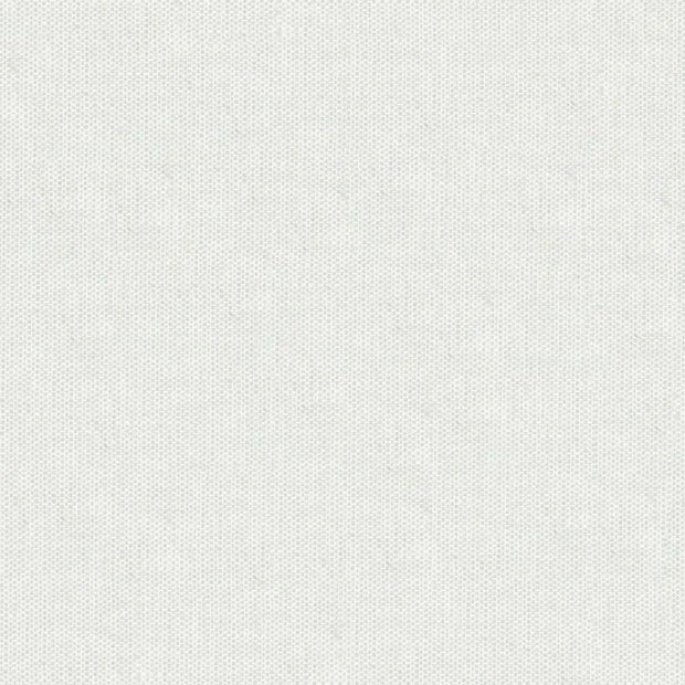 Photo of the fabric Goa Silver swatch by Zepel. Use for Curtains. Style of Plain, Taffeta