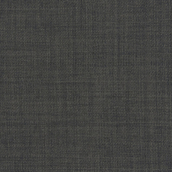 Photo of the fabric Linoso Wide Width F1777 21 swatch by Clarke & Clarke. Use for Curtains, Upholstery, Accessory. Style of Plain, Texture