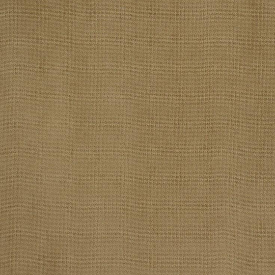 Photo of the fabric Refresh Biscuit swatch by Zepel. Use for Curtains, Upholstery, Accessory, Top of Bed. Style of Plain, Velvet