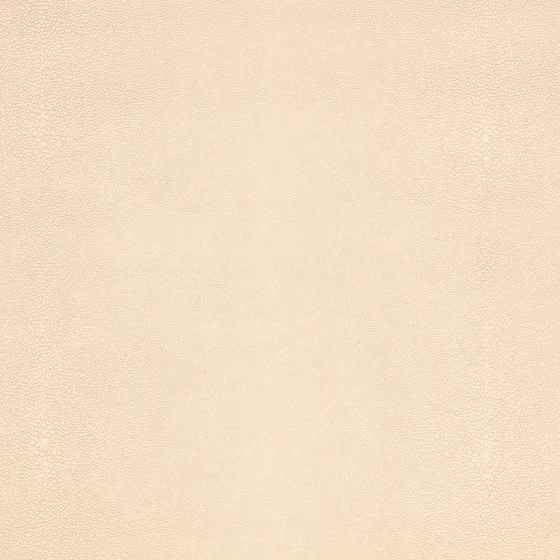 Photo of the fabric Shagreen K5357 01 swatch by Kirkby Design. Use for Upholstery. Style of Leather And Vinyl, Plain
