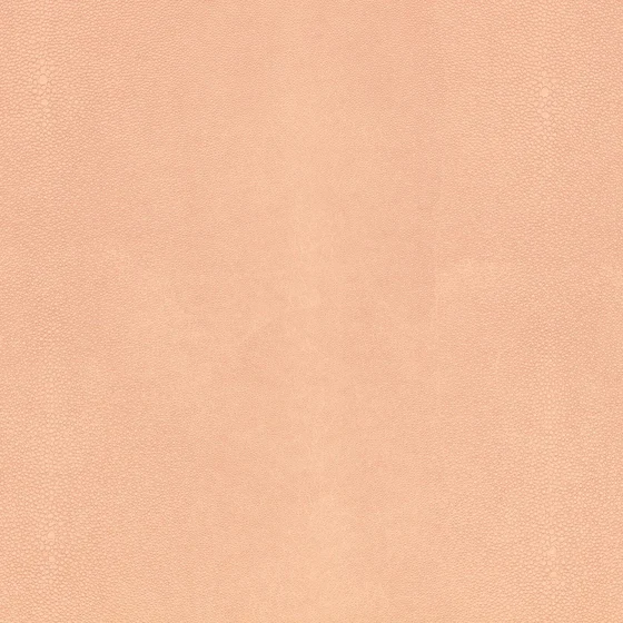 Photo of the fabric Shagreen K5357 07 swatch by Kirkby Design. Use for Upholstery. Style of Leather And Vinyl, Plain