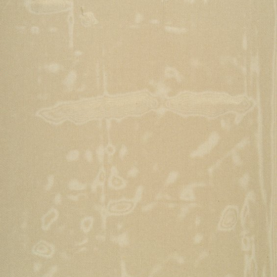 Photo of the fabric Silken Sponge swatch by Zepel. Use for Sheer Curtains. Style of Plain, Sheer