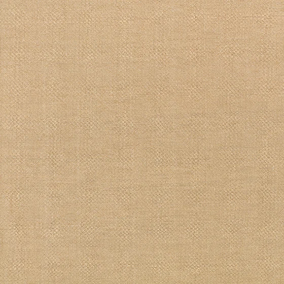 Photo of the fabric Studland Z637 08 swatch by Zinc. Use for Curtains, Upholstery Light Duty, Accessory. Style of Plain